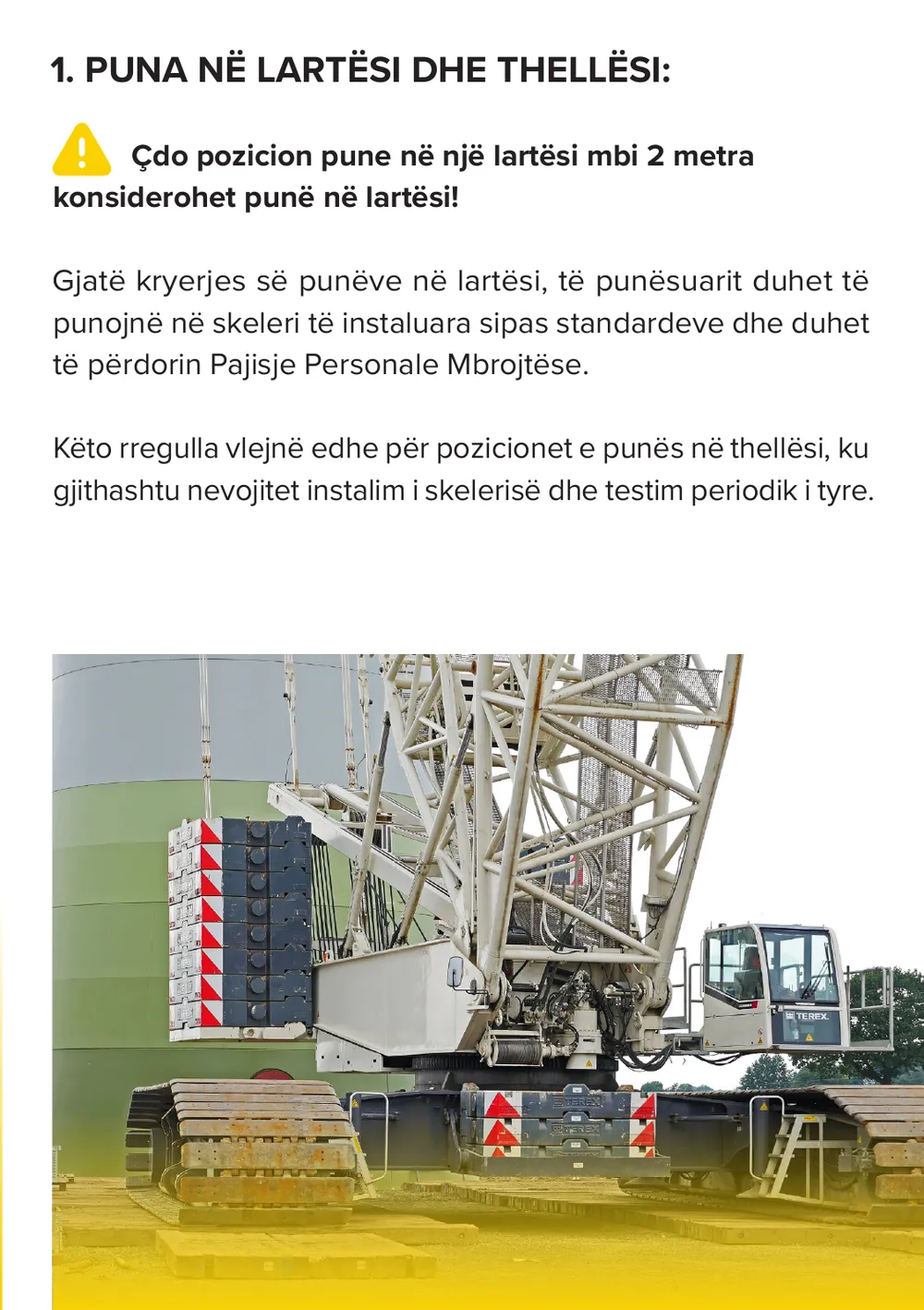 Faqja 3